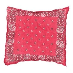 Vintage Unbranded Handkerchief